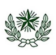 暁星国際のチームエンブレム