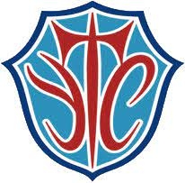 YTCのチームエンブレム