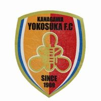 横須賀のチームエンブレム